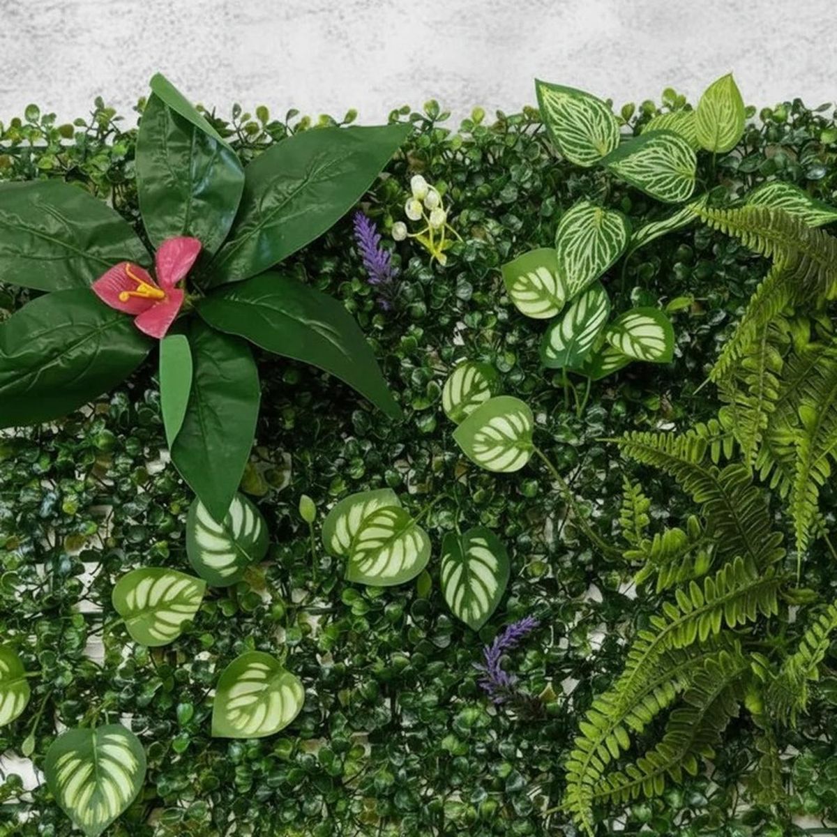 ARBUSTO REAL - Jardín Muro Vertical Artificial B Palmeta Plantas 60x40 Cm