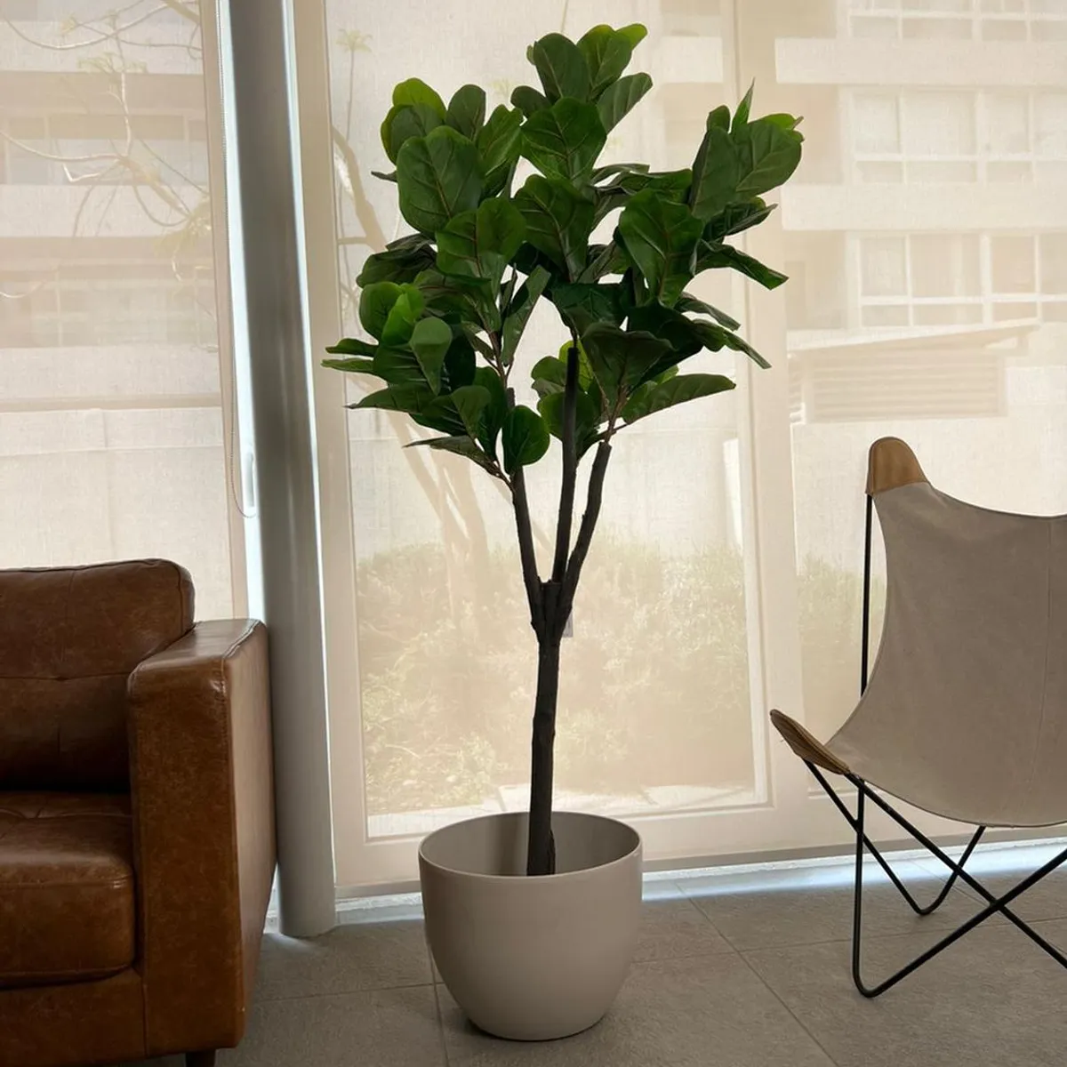 ARBUSTO REAL - Planta Artificial Ficus Lyrata 180 Cm. De 88 Hjs Y 3 Troncos