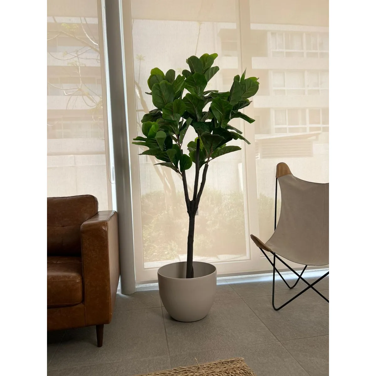 ARBUSTO REAL - Planta Artificial Ficus Lyrata 180 Cm. De 88 Hjs Y 3 Troncos