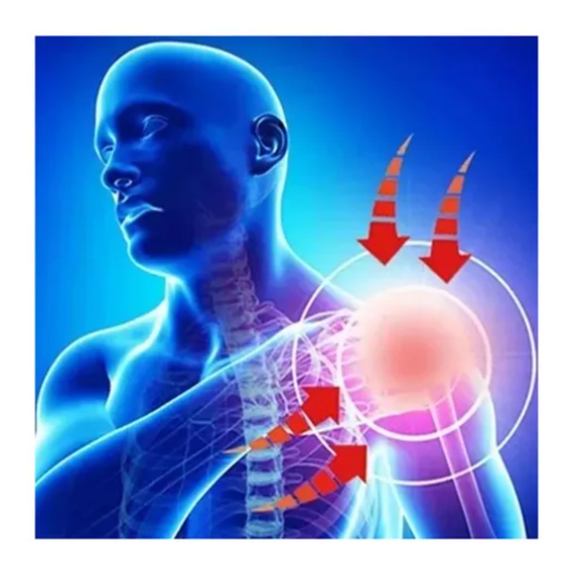 GENERICO - Soporte De Hombro Adulto Calidad Mangito Rotador Unisex