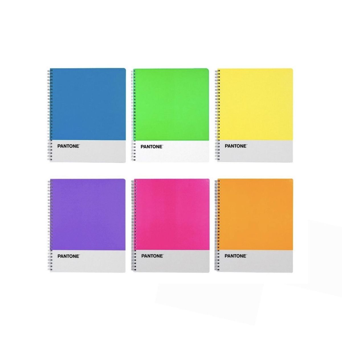 GENERICO - Pack 6 Cuadernos Universitario Colores Fluor 100 Hojas 7mm