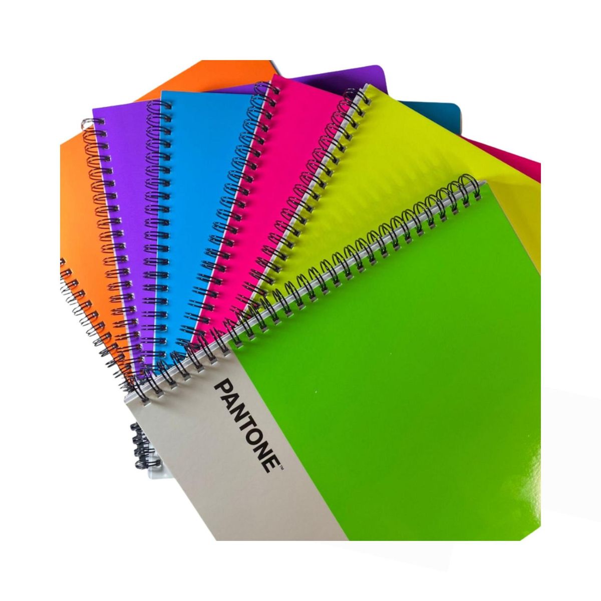 GENERICO - Pack 6 Cuadernos Universitario Colores Fluor 100 Hojas 7mm