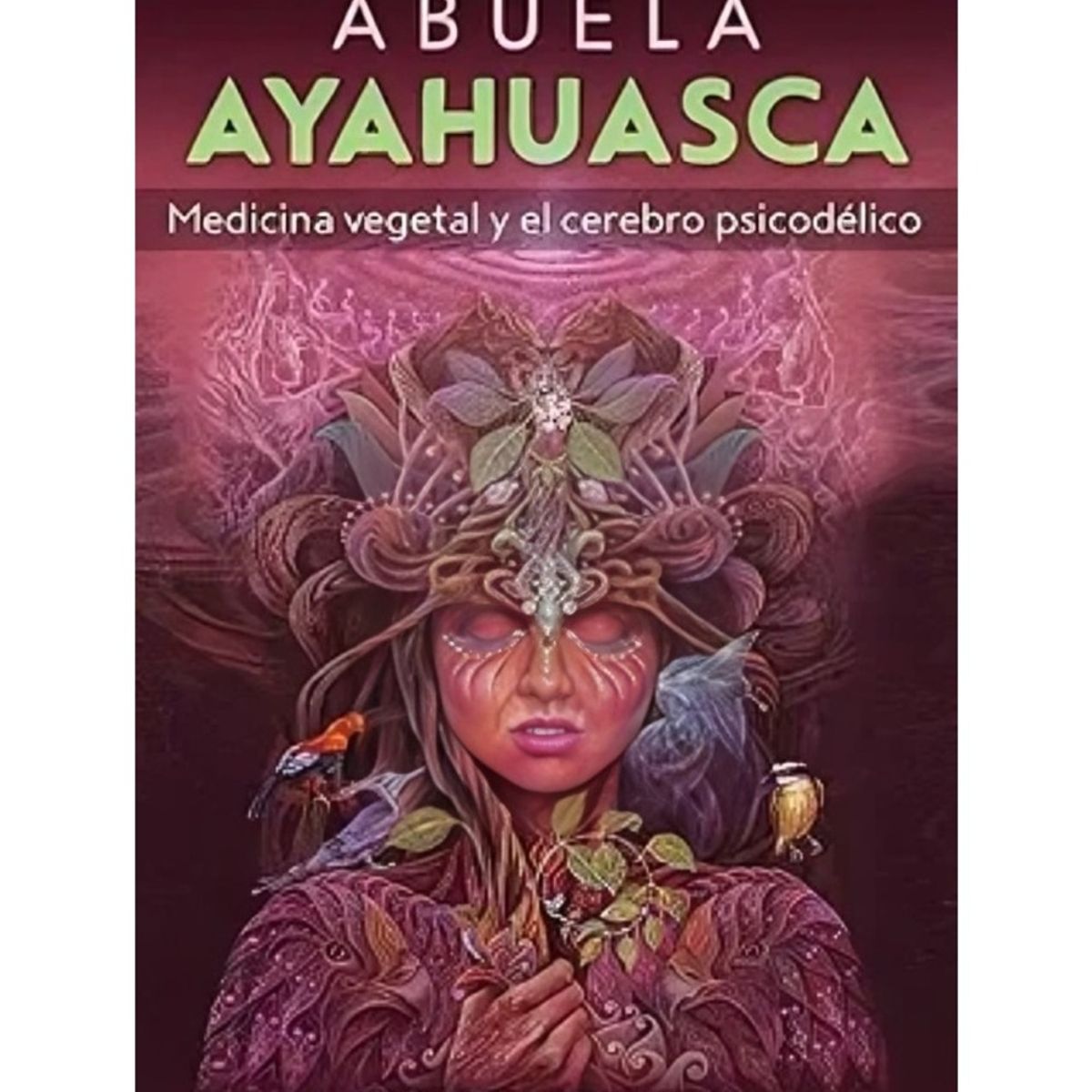 TOP10BOOKS - LIBRO Abuela Ayahuasca - Abuela Ayahuasca