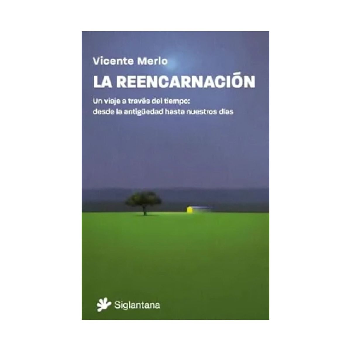 TOP10BOOKS - LIBRO La Reencarnacion - La Reencarnacion