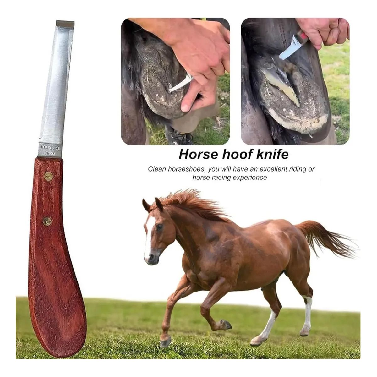 GENERICO - Cuchillo Despalmador O Gubia Doble Filo Para Herrar Caballos