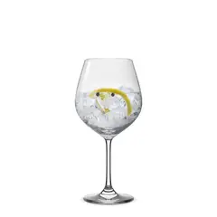 HAUSMANN - Set 6 Copas Gin 750ml