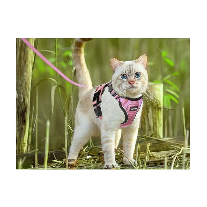 GENERICO - Arnés y correa para gato Talla XS NARANJO