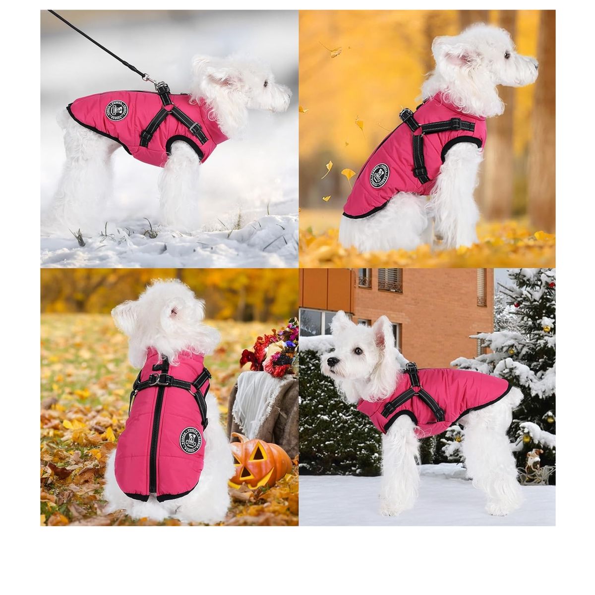 GENERICO - Chaqueta con arnés perro pequeño FUCSIA Talla M