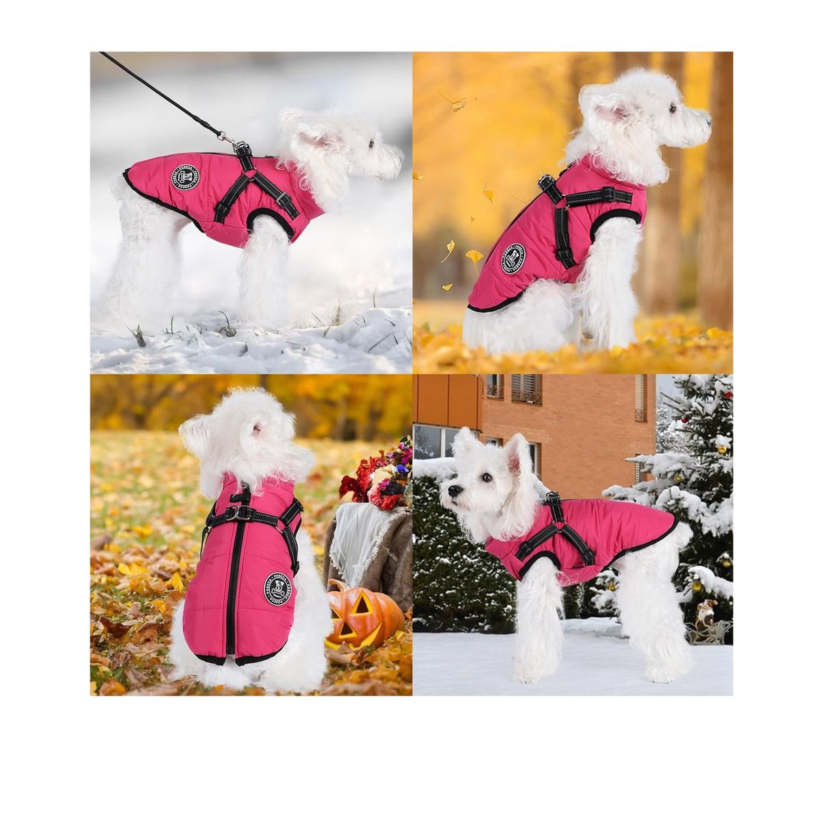 GENERICO - Chaqueta con arnés perro pequeño FUCSIA Talla M