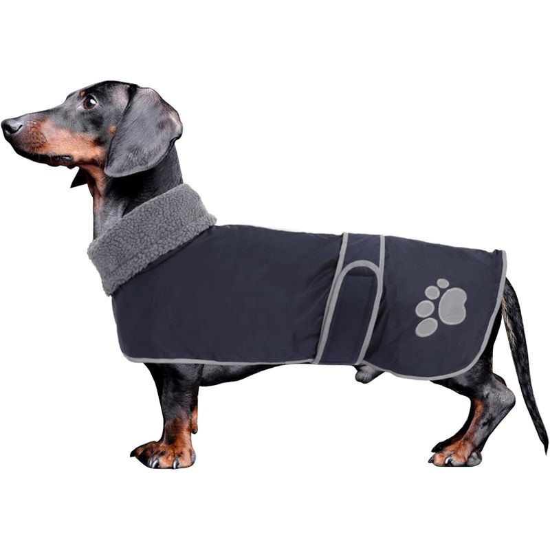 GENERICO - Chaqueta tipo capa perro salchicha AZUL Talla S