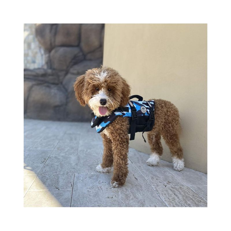 GENERICO - Chaleco salvavidas para perro mediano AZUL Talla L