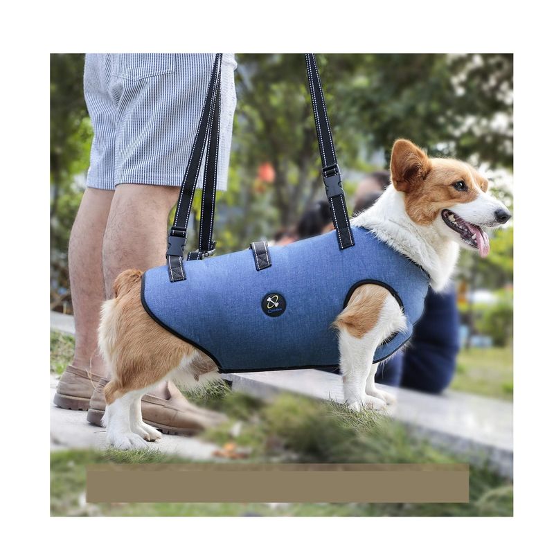 GENERICO - Arnés de elevación perro pequeño AZUL Talla S