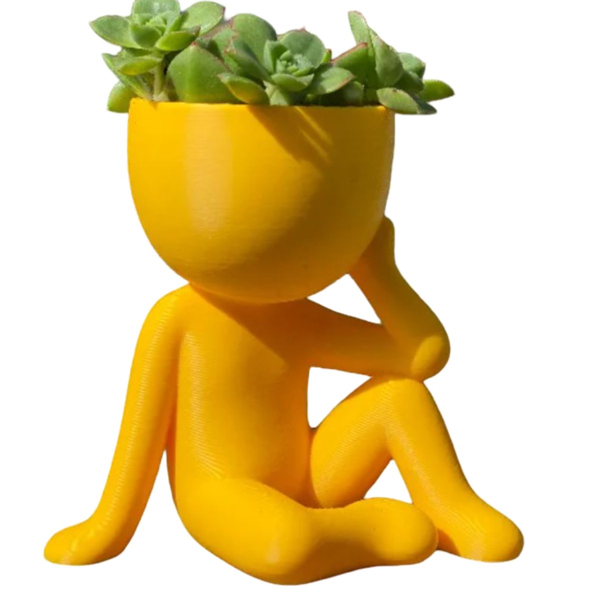 GENERICO - Macetero - Diseño Pensador