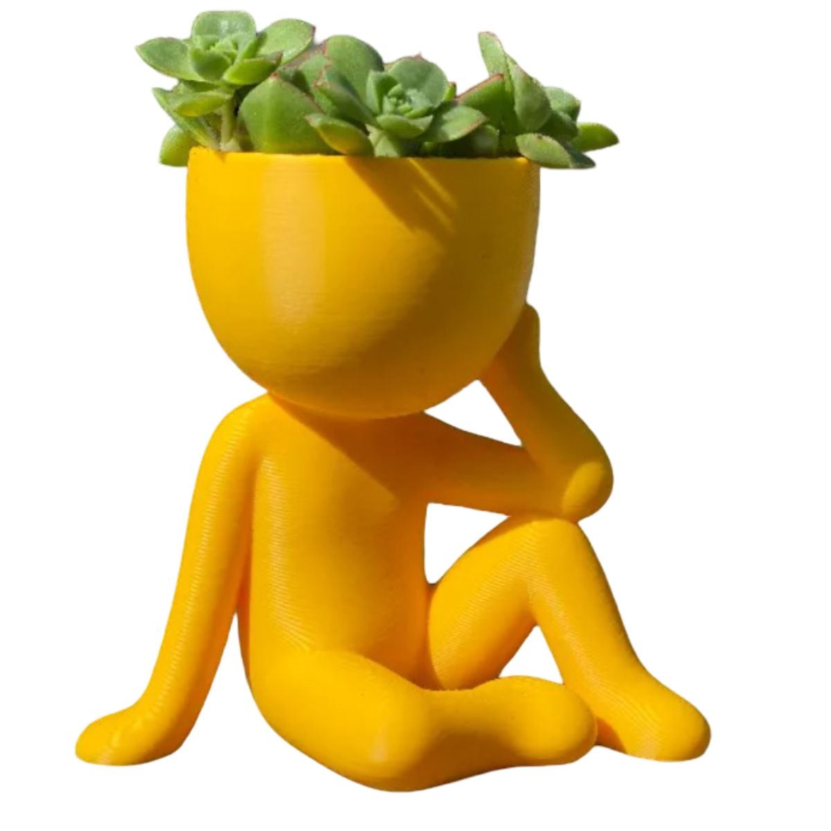 GENERICO - Macetero - Diseño Pensador