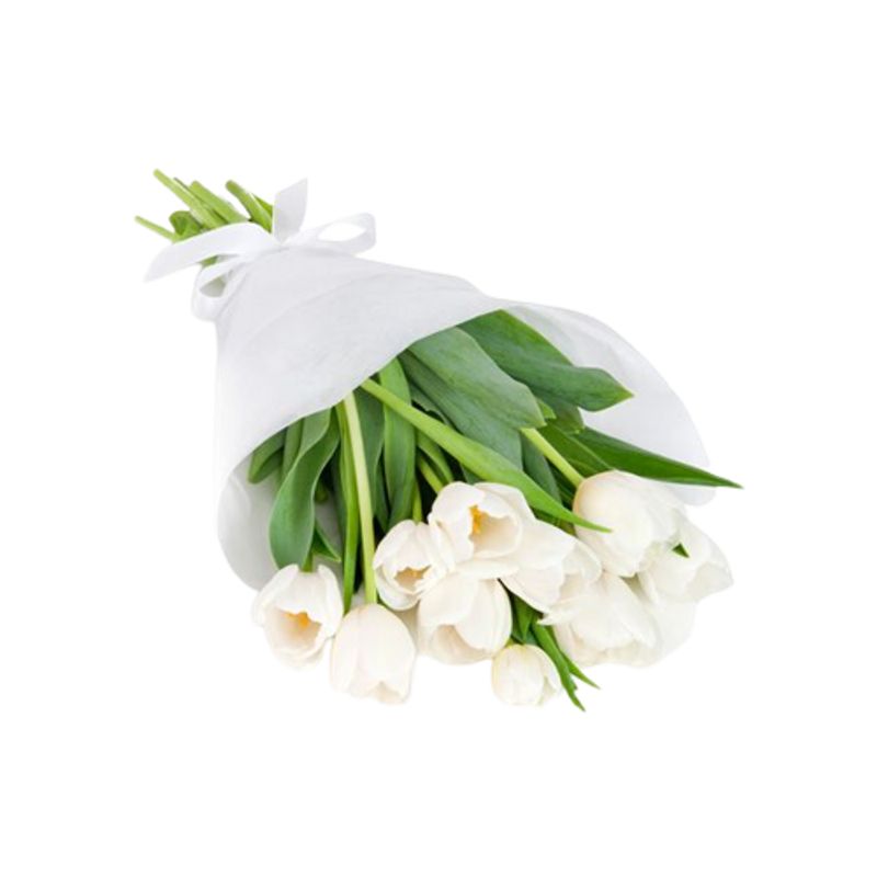 GENERICO - Ramo de 10 Tulipanes Blancos