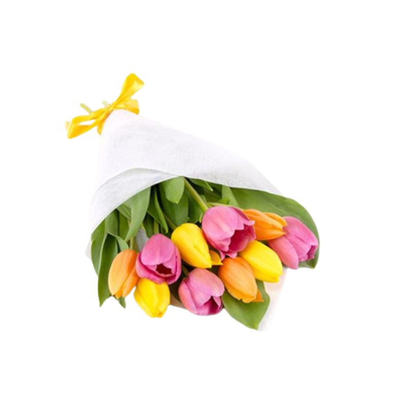 GENERICO - Ramo de 10 Tulipanes Multicolor