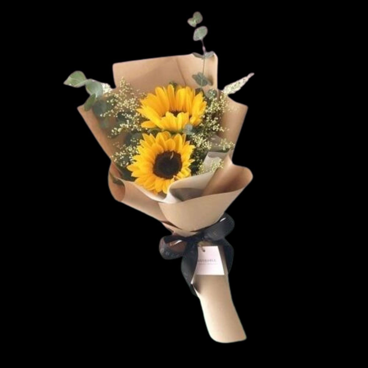 GENERICO - Bouquet de 2 Girasoles con follaje