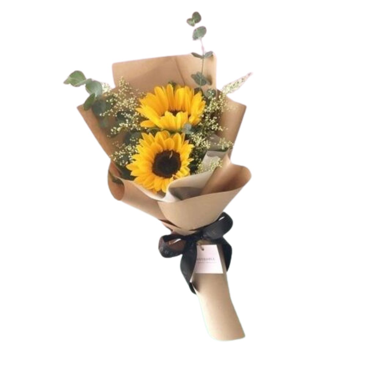 GENERICO - Bouquet de 2 Girasoles con follaje