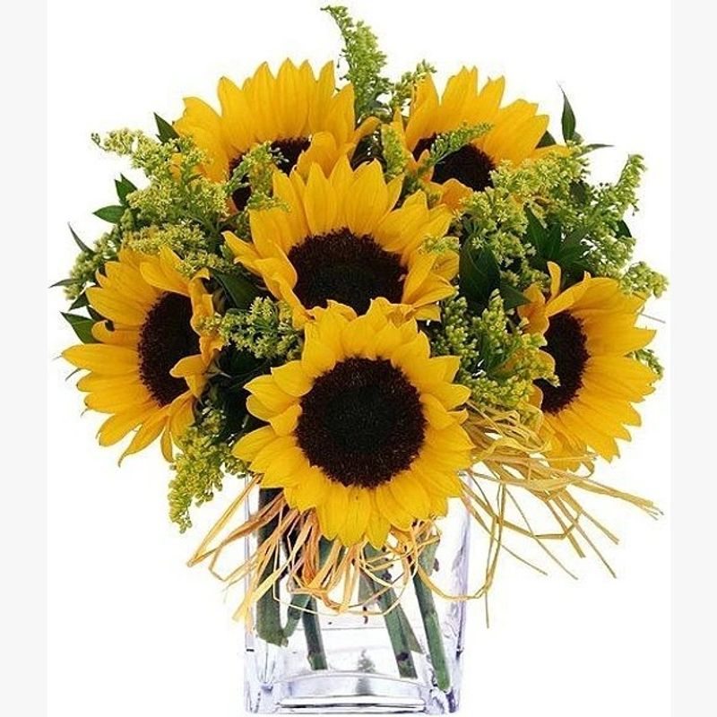 GENERICO - Cubo de 7 Girasoles