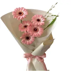 GENERICO - Ramo Alargado de 5 Gerberas Rosadas