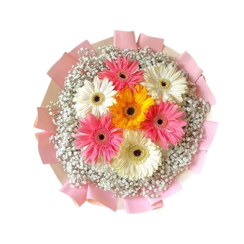 GENERICO - Bouquet de 7 Gerberas con Ilusión
