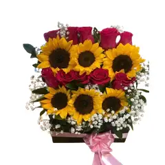 GENERICO - Base de 10 Rosas y 6 Girasoles