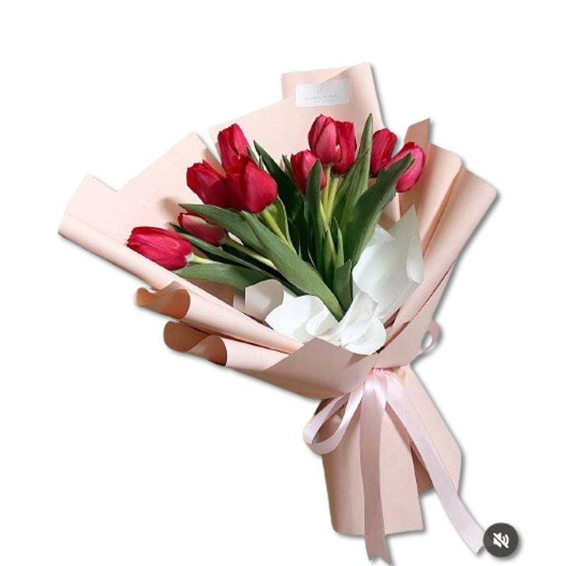 GENERICO - Bouquet de 10 Tulipanes Rojos