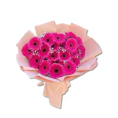 GENERICO - Bouquet de 20 Gerberas