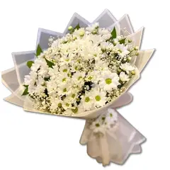 GENERICO - Bouquet de Margaritas