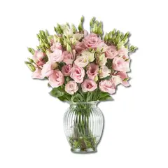 GENERICO - Florero 20 Lisianthus Rosados