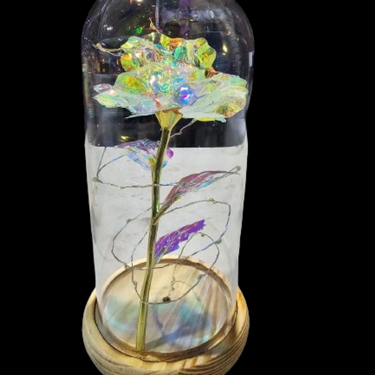 GENERICO - Rosa Tornasol en Cúpula con Luces