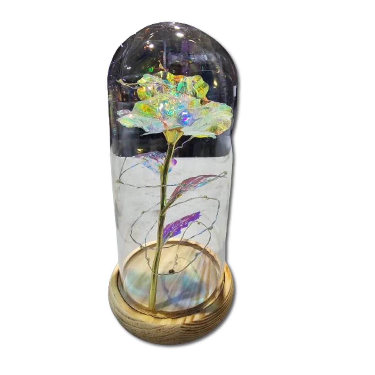 GENERICO - Rosa Tornasol en Cúpula con Luces