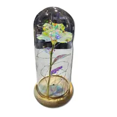 GENERICO - Rosa Tornasol en Cúpula con Luces