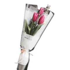 GENERICO - Bouquet de 3 Tulipanes Fucsias