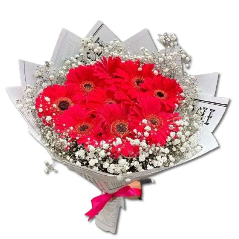GENERICO - Bouquet de 10 Gerberas Rojas con Ilusión