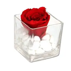GENERICO - Rosa Roja Preservada en Cubo