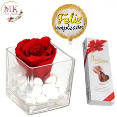 GENERICO - Rosa Preservada Roja en Cubo Bombones Belgian y Globo