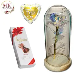 GENERICO - Rosa Tornasol en Cúpula con Luces Bombones Belgian y Globo