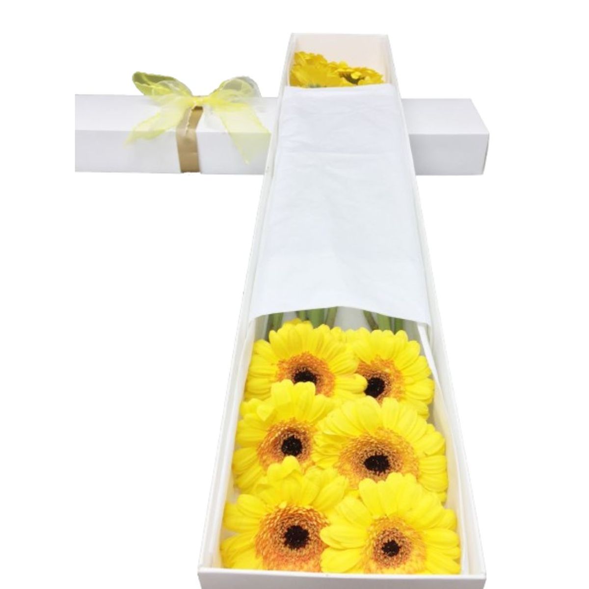 GENERICO - Caja de 6 Gerberas Amarillas