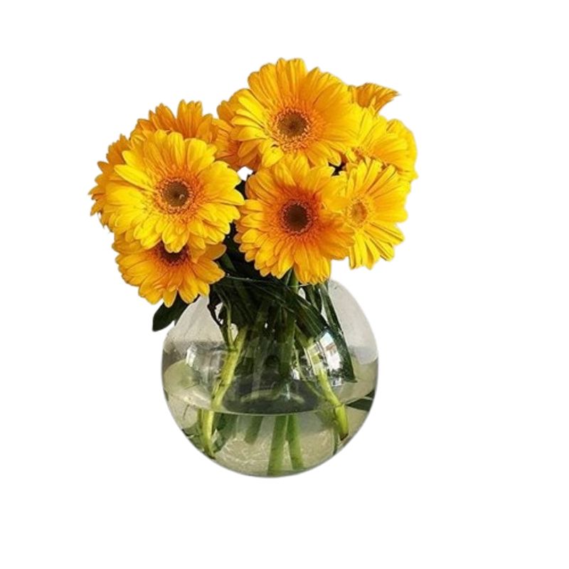 GENERICO - Pecera de 10 Gerberas Amarillas