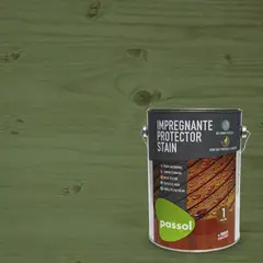 PASSOL - Impregnante Stain Olivo 1 gl