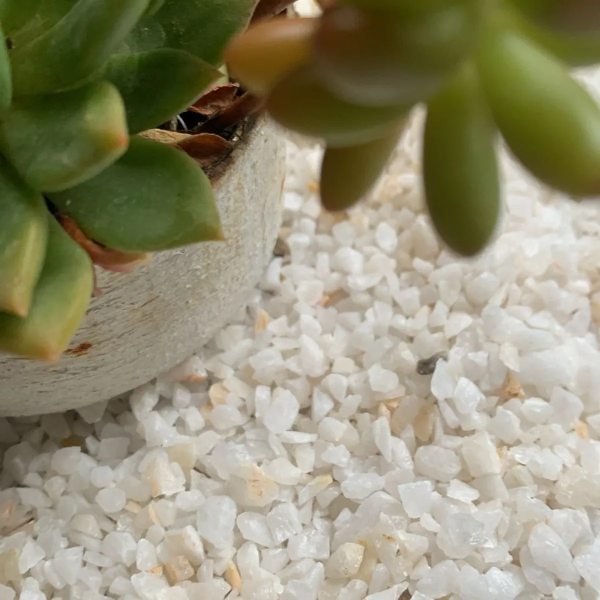 GENERICO - Piedra Cuarzo Blanco Granulado Decorativo Saco 20 Kg