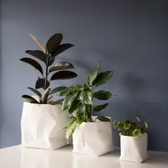 PROMETEO STUDIO - Portamacetas para interiores impermeable Diseño local Talla S