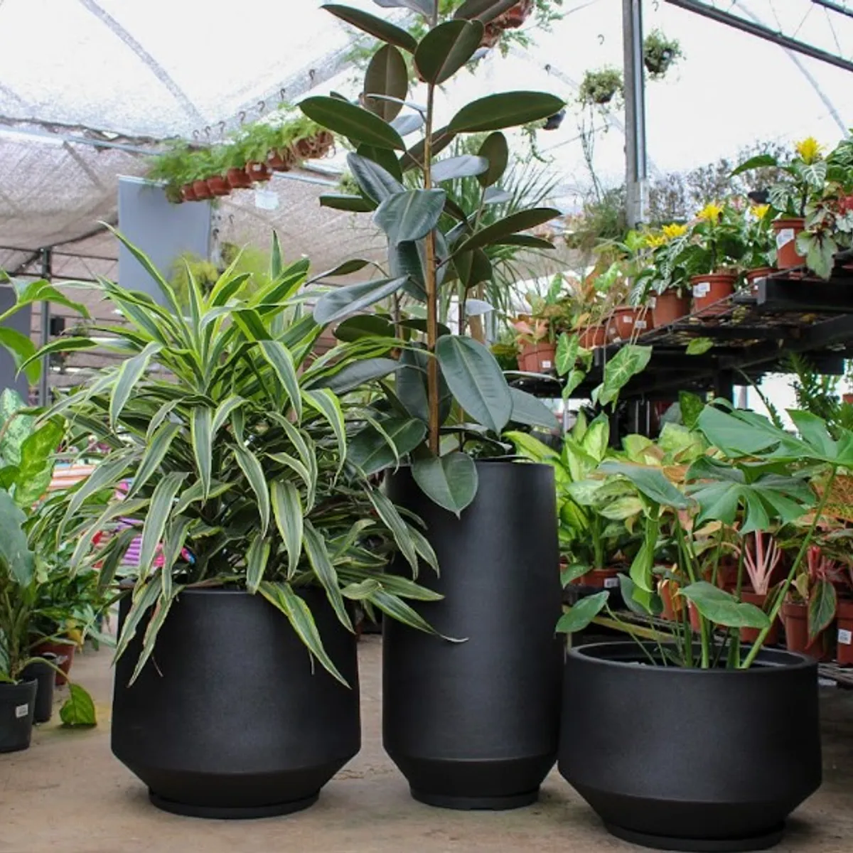 FLORIDIS - MACETERO FLORIDIS NEGRO MODELO BERLIN 64CM ALTO CON PLATO