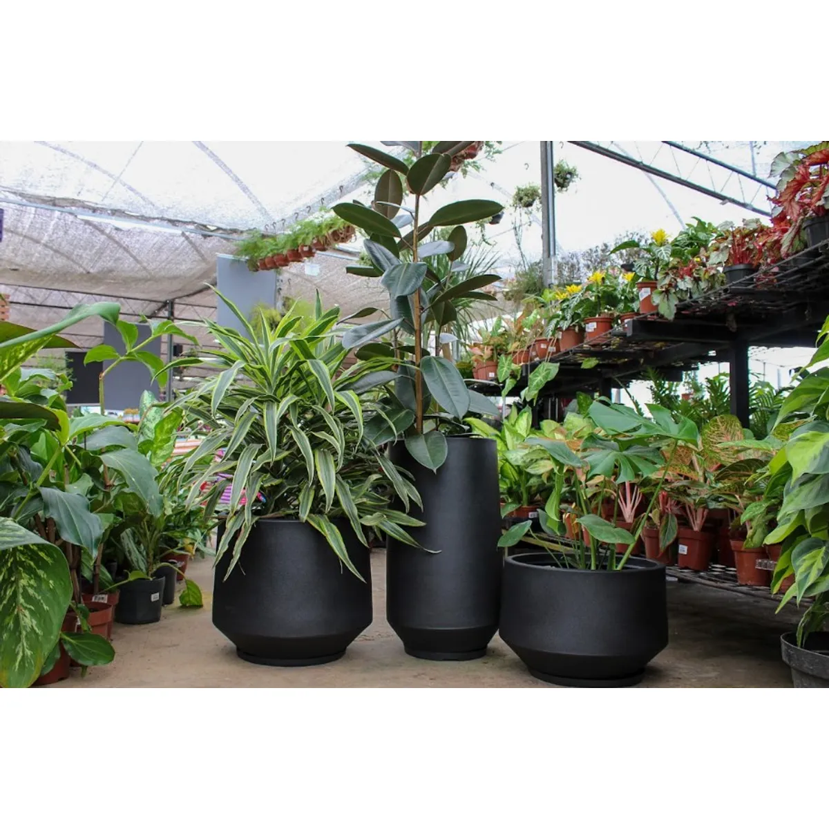 FLORIDIS - MACETERO FLORIDIS NEGRO MODELO BERLIN 64CM ALTO CON PLATO