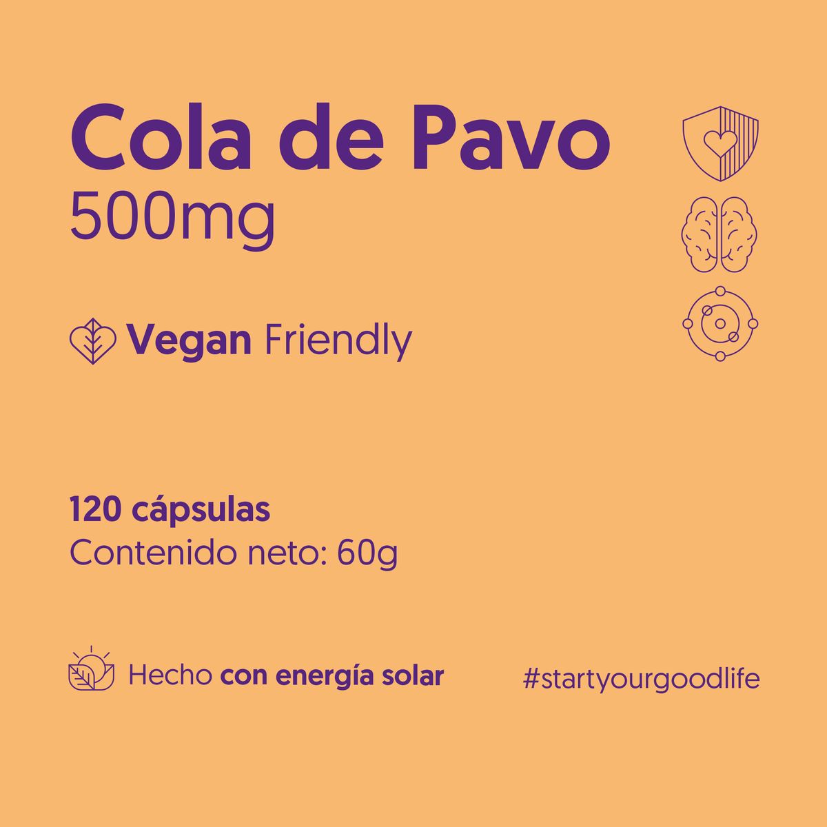 BIOSTREAM - Hongo Cola de Pavo 500mg 120 Cápsulas Vegano Antioxidante Biostream