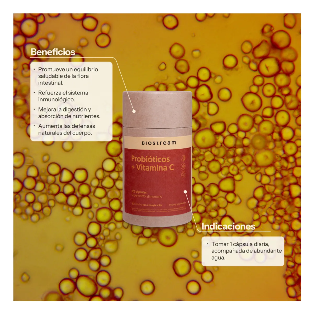 BIOSTREAM - Probióticos + Vitamina C 120 Cápsulas para las Defensas & Digestion Biostream