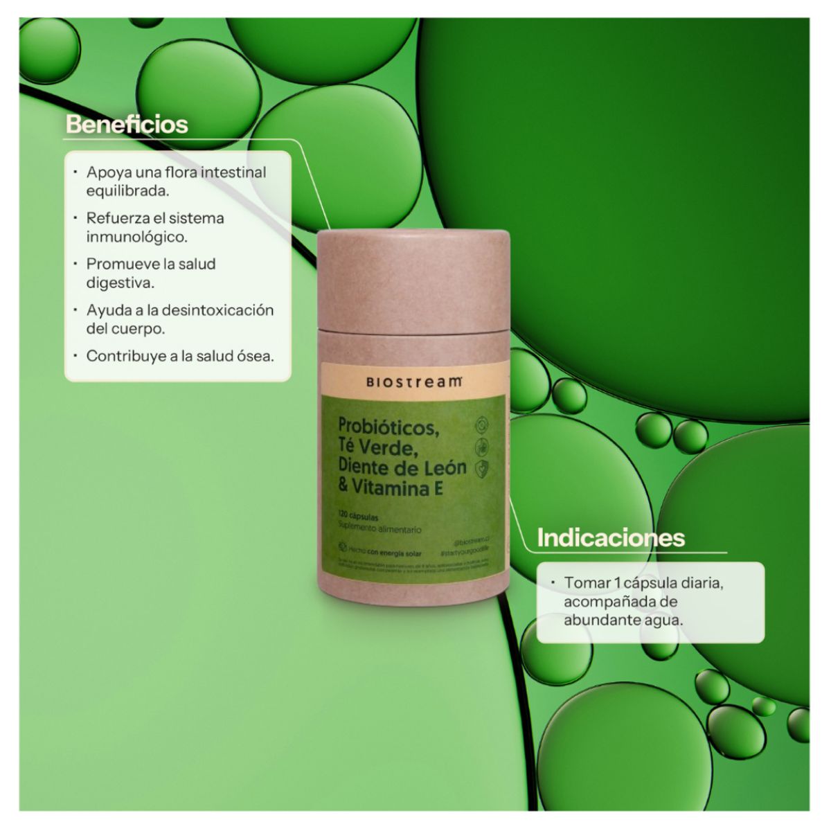 BIOSTREAM - Probióticos Te Verde Diente de Leon & Vitamina E 120 Cápsulas Biostream