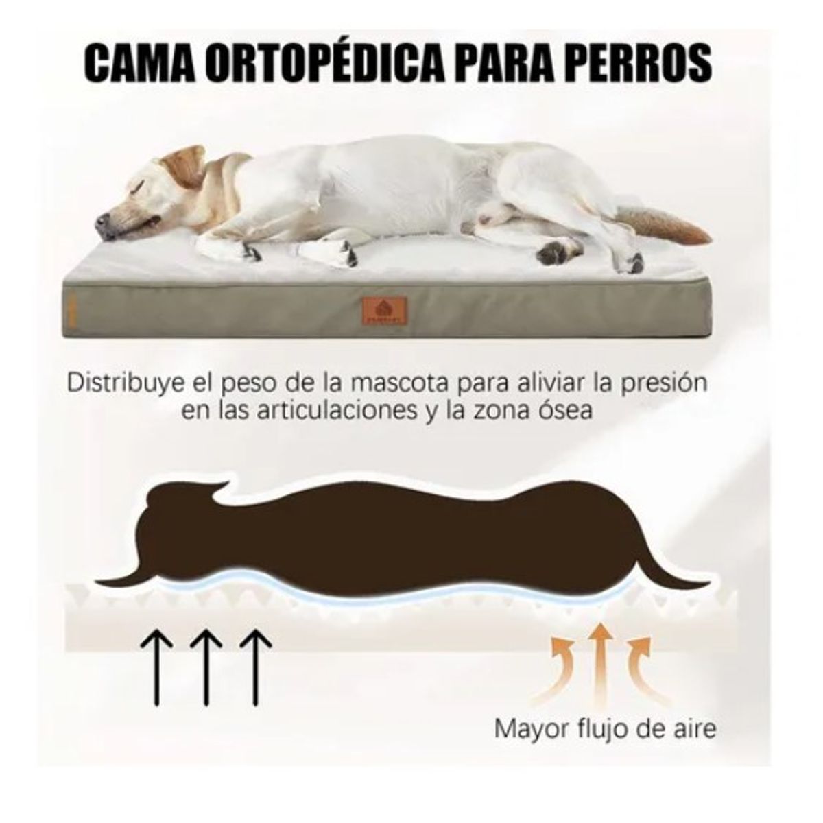 ESHOPANGIE - Cama Colchón Ortopédica Para Mascotas Perros 77x51cm Lavable