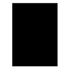 GENERICO - Cartulina Pliego 50x70 Cm 10 Unidades Negro
